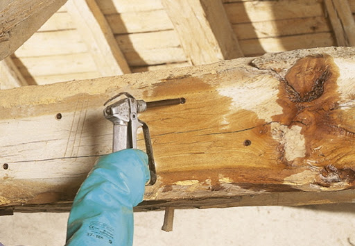 Traitement charpente bois Val d'Oise